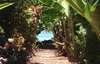 Milky Bay Resort 